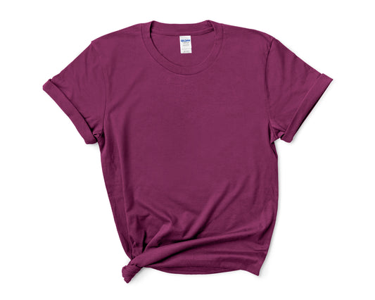 Gildan 5000 Short sleeve T-shirt Large