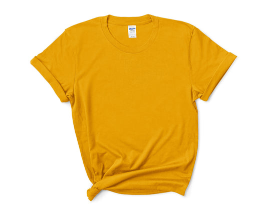 Gildan 5000 Short sleeve T-shirt 2X
