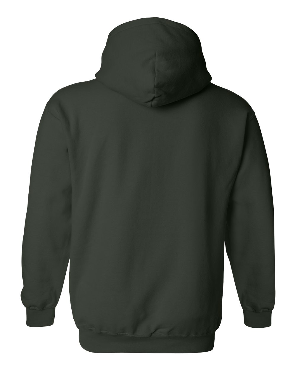 Black hoodie shown from the back on a white background