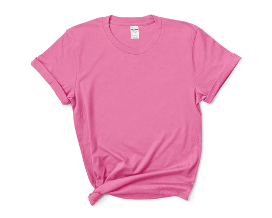 Gildan 5000 Short sleeve T-shirt / Small