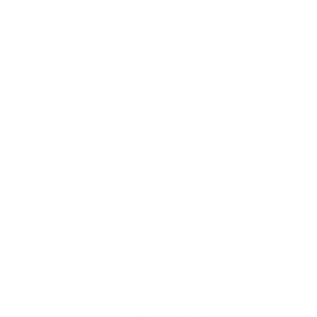 Product image with a clear background